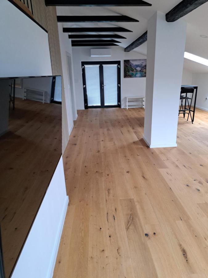 Ohana Apartment Ljubljana Dış mekan fotoğraf