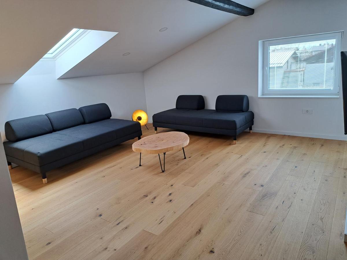 Ohana Apartment Ljubljana Dış mekan fotoğraf